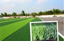 亞強體育施工案例:人造草坪,